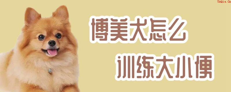 博美犬怎么训练大小便