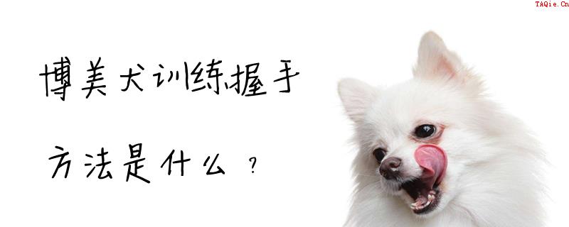 博美犬训练握手方法是什么