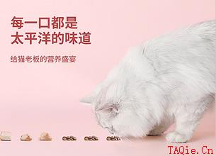 狗粮什么牌子好又实惠 猫粮哪个好又便宜