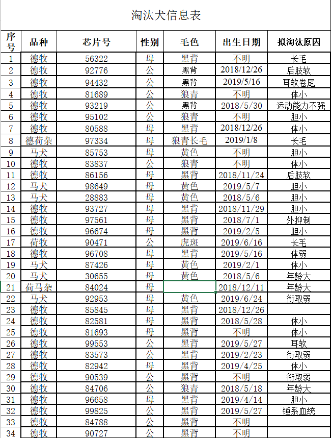 震惊！考不上公务员的小狗，是要被卖掉的！