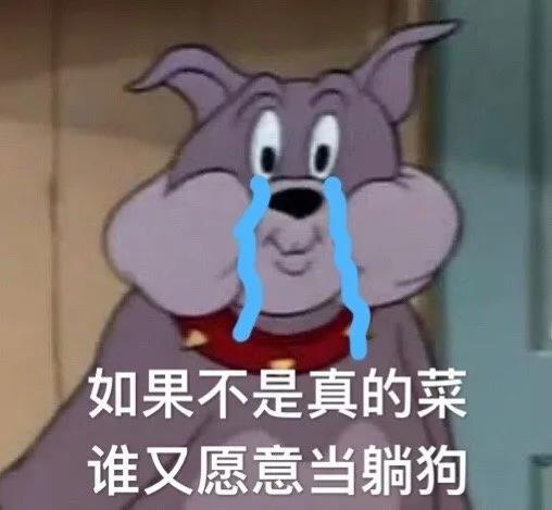 震惊！考不上公务员的小狗，是要被卖掉的！