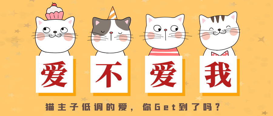 猫咪到底爱不爱我？