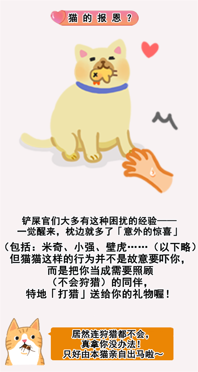 猫咪到底爱不爱我？