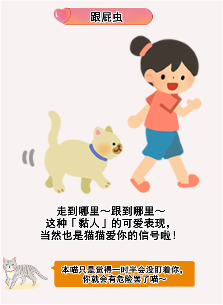 猫咪到底爱不爱我？