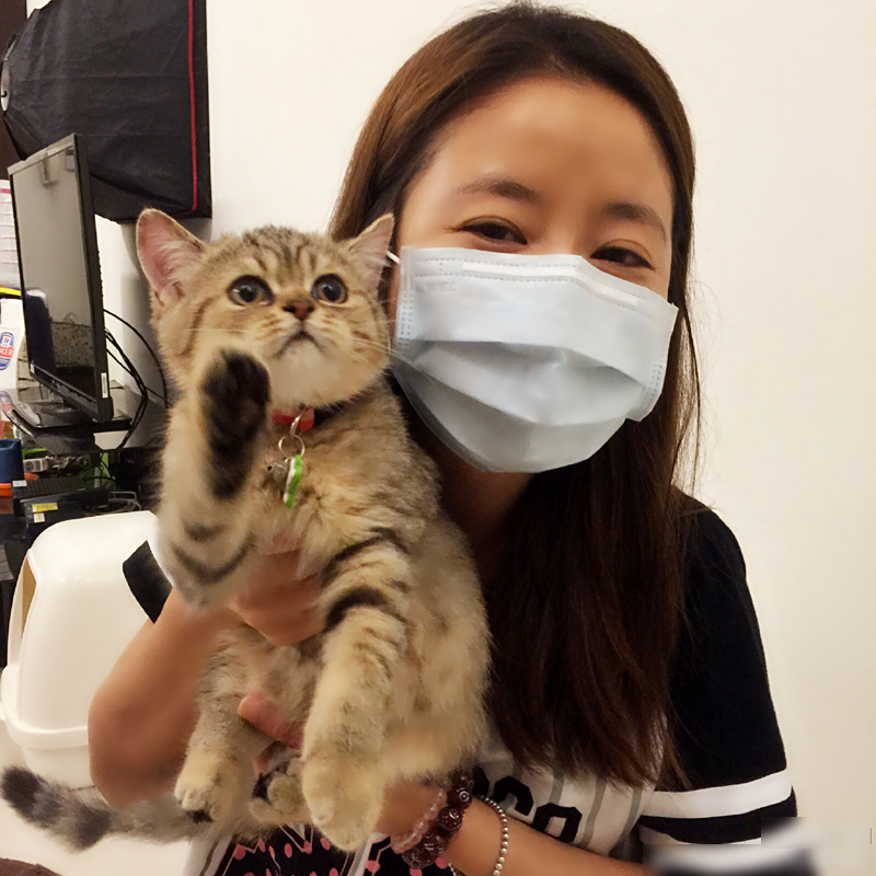 每当你抱起猫咪的时候，猫咪都在想些什么？