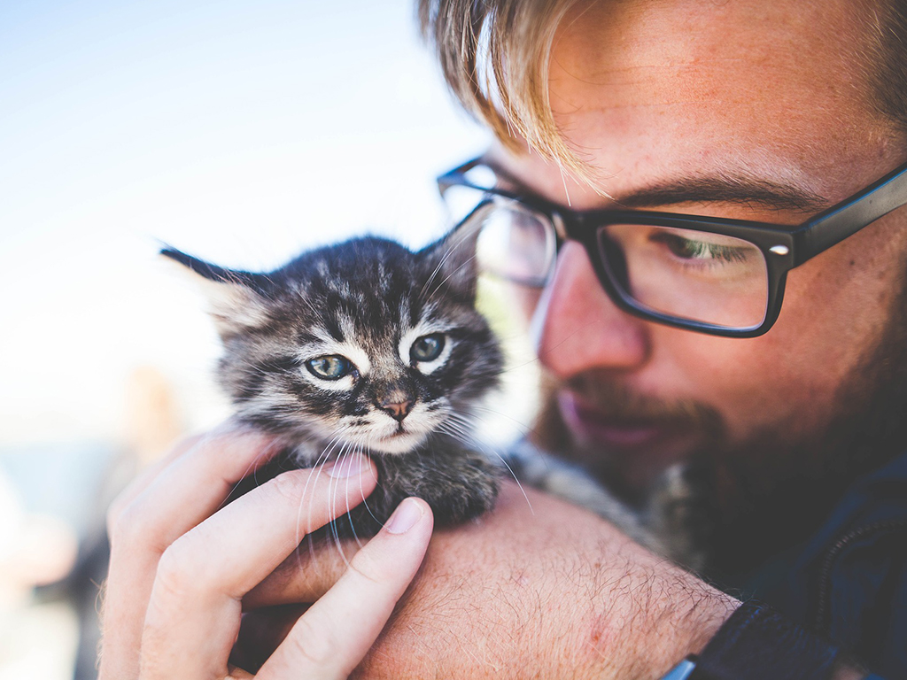 撸猫指南：如何撸猫才能让猫咪欲罢不能？