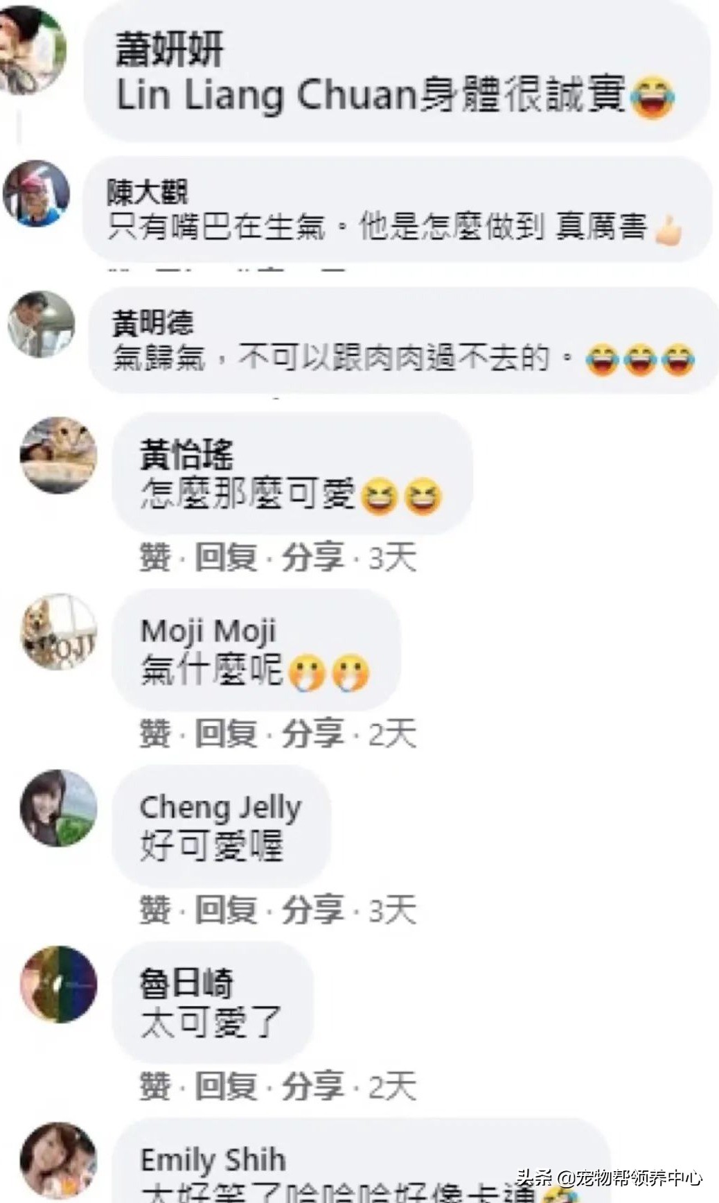 暴躁狗狗面对肉肉时，铲屎官爆笑：请你克制你的口水