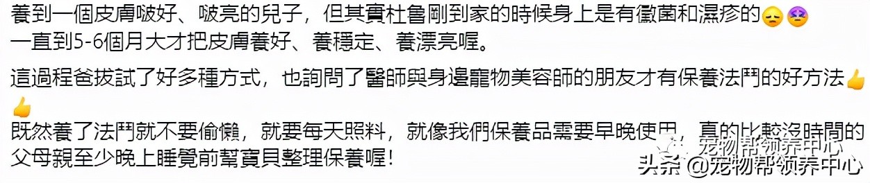 史上最厌世法斗，铲屎官一亲近，它马上手脚并用抵抗：别过来