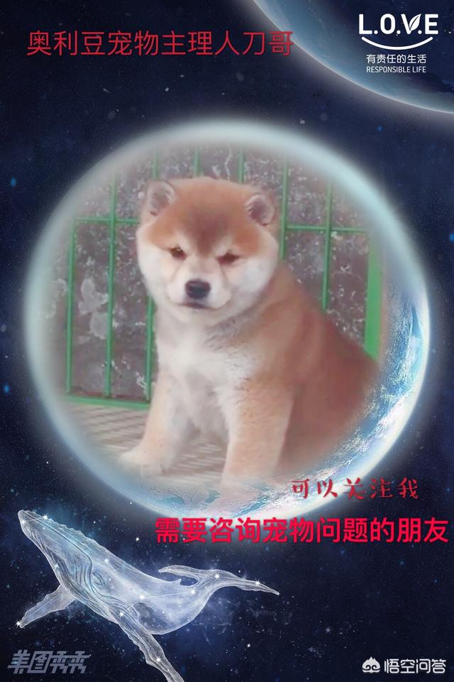 被五个月的狗狗轻微抓伤，会不会感染上狂犬病？