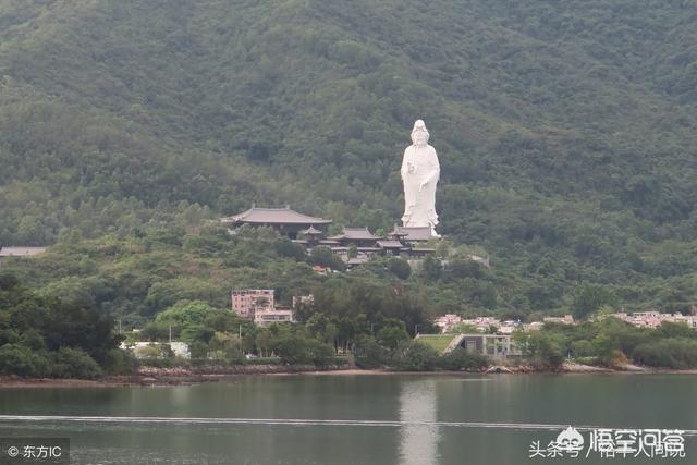 母羊生小羊，几个小时不露头该怎么办？