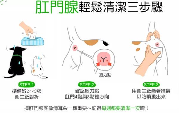 狗狗身上“臭臭的”，一般是这几个原因导致的