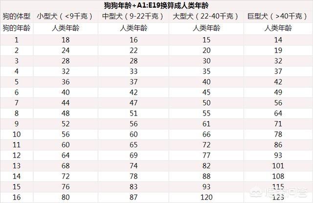 狗一岁相当于人几岁？