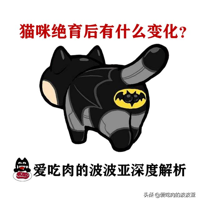 猫咪绝育之后有什么变化吗？