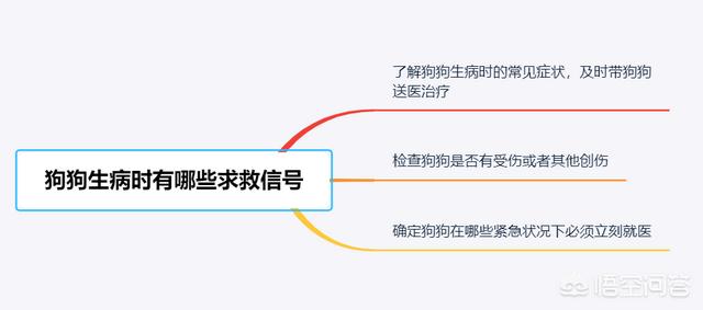 狗狗生病的时候，会有哪些求救的信号？