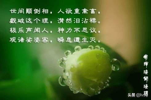 对于“世事无常，人生无常”这句话，你怎么看？