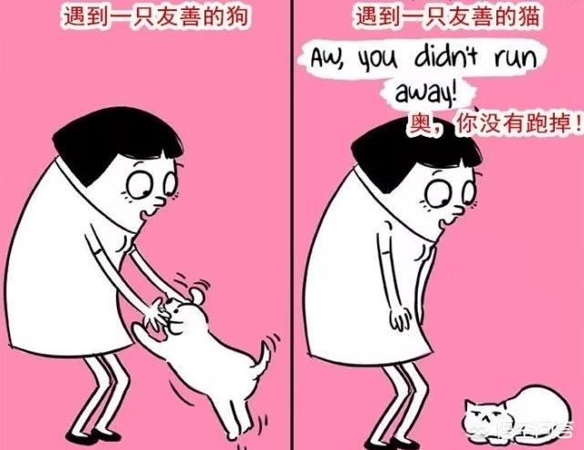 猫咪的一生只会认定一个主人吗？