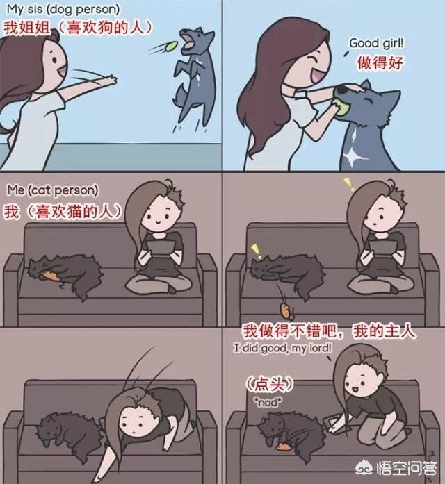 猫咪的一生只会认定一个主人吗？