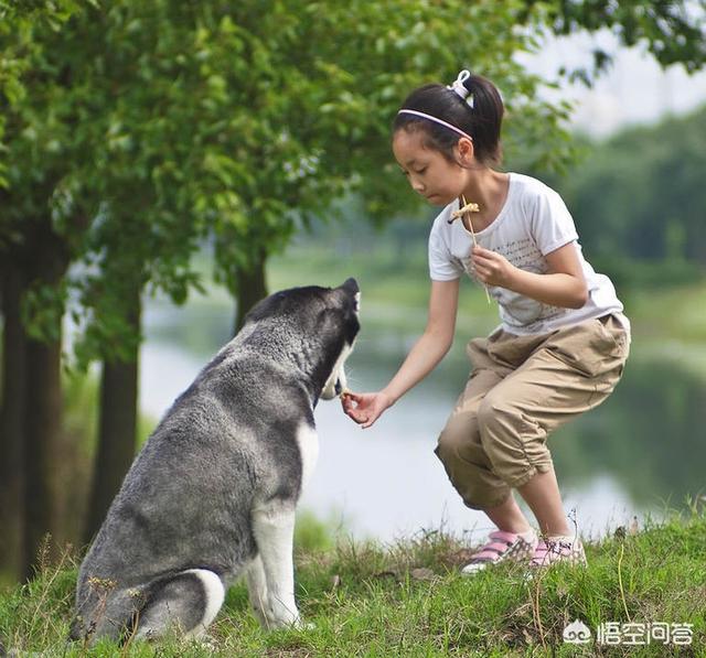 新出生的婴儿抱回家，狗狗是如何识别她是小主人而不咬她的？