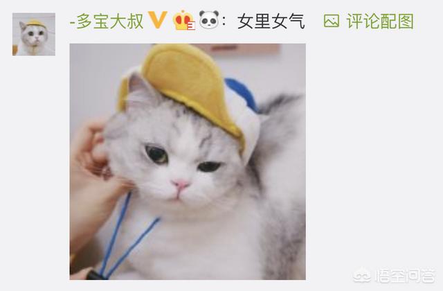 猫咪绝育之后有什么变化吗？