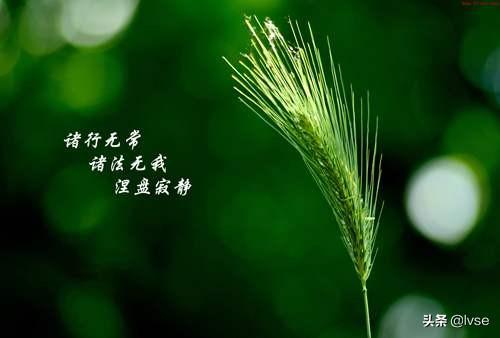 对于“世事无常，人生无常”这句话，你怎么看？