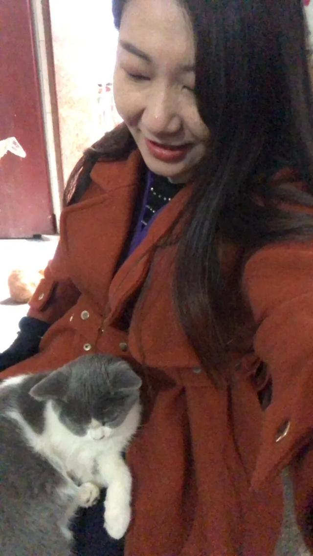 猫咪踩奶舒服吗？