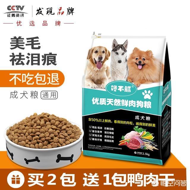 帮狗狗洗澡，有什么误区不能犯？