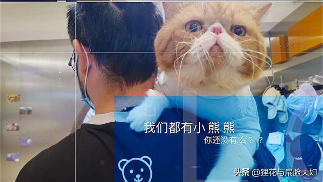 大家一般给猫吃什么牌子的猫粮，稍微好点，性价比比较高的？