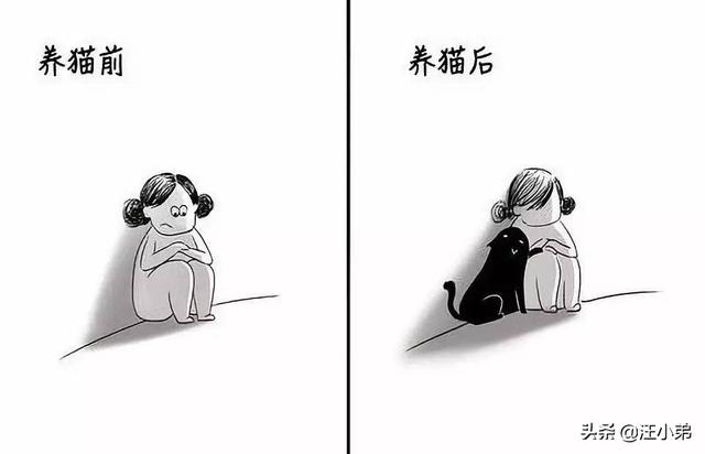 家里有猫和没猫有什么区别？