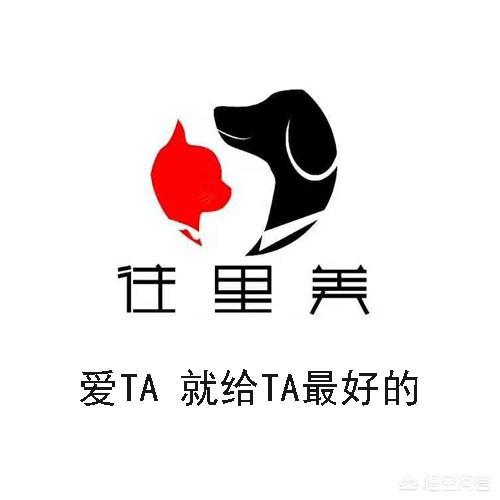 养了一只拉布拉多和金毛的串串，该怎么养？