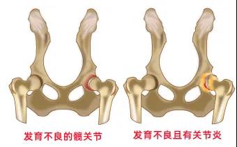 一种病不致命，却折磨82种以上的狗…（故意把人折磨成精神病）