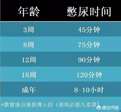 狗狗憋12小时的尿会出现什么问题吗？