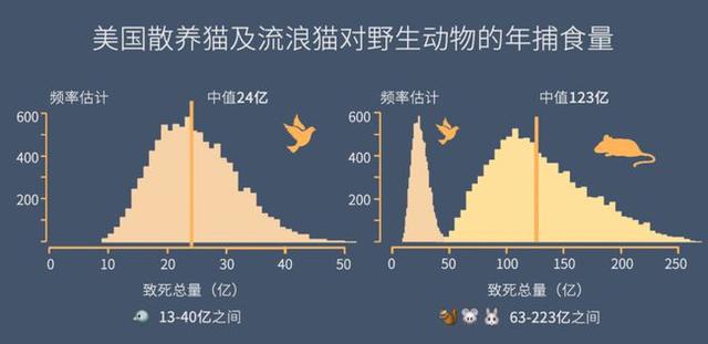 流浪猫狗泛滥成灾是否会抵消保护野生动物的成果？