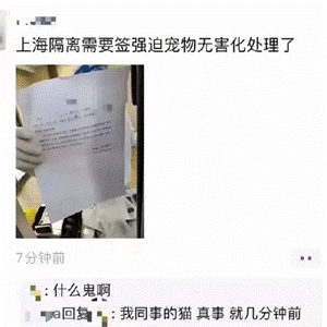 如果全家被隔离宠物怎么办（我被隔离了！宠物怎么办？）