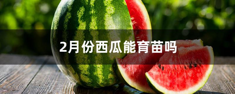 西瓜几月份育苗（2月份西瓜能育苗吗）