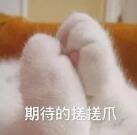 （猫咪为啥爱吃鱼）