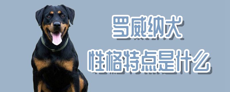 罗威纳犬性格特点是什么