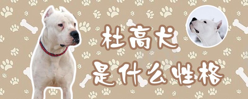 杜高犬是什么性格