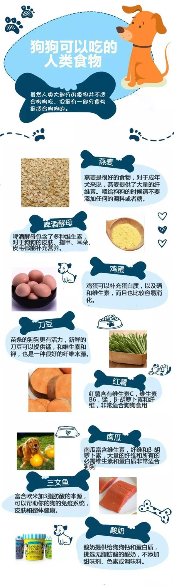 狗狗不能吃什么食物「狗狗不能吃什么食物掉仔」