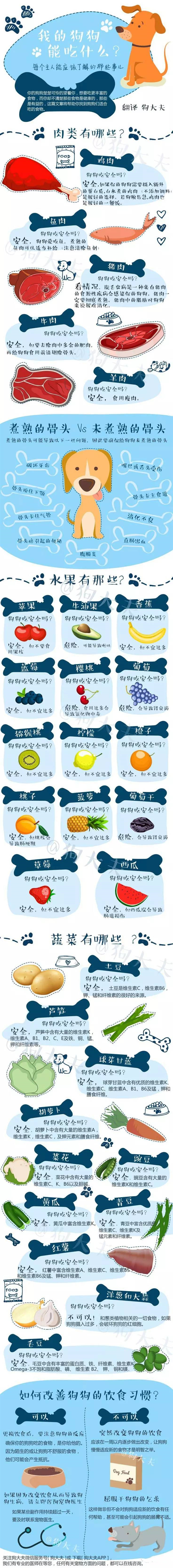 狗狗不能吃什么食物「狗狗不能吃什么食物掉仔」