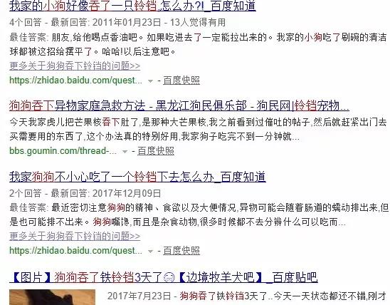 给狗狗选择玩具要注意什么「适合狗玩的玩具有哪些」