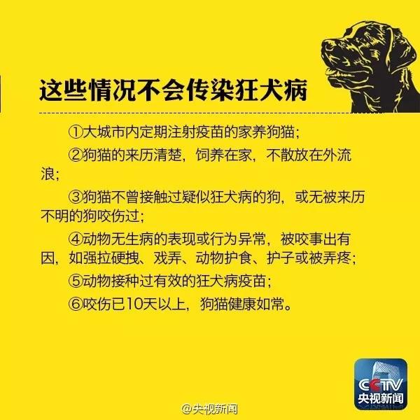 狗咬没有破皮有点红用打针吗「狗咬伤表皮有点红了要打针吗」