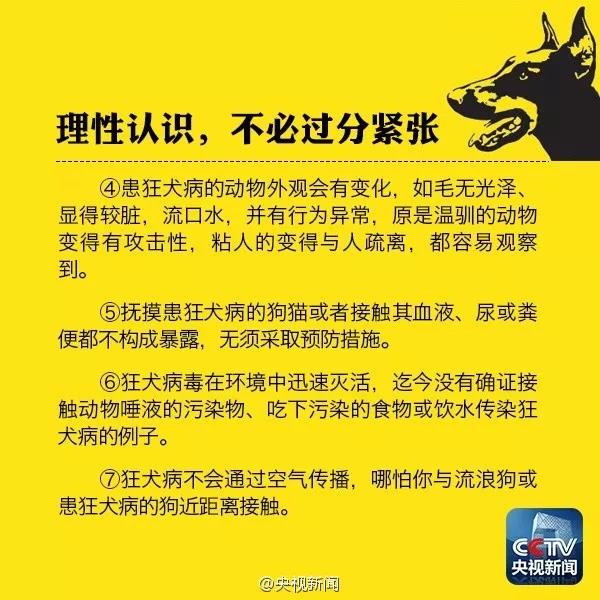 狗咬没有破皮有点红用打针吗「狗咬伤表皮有点红了要打针吗」