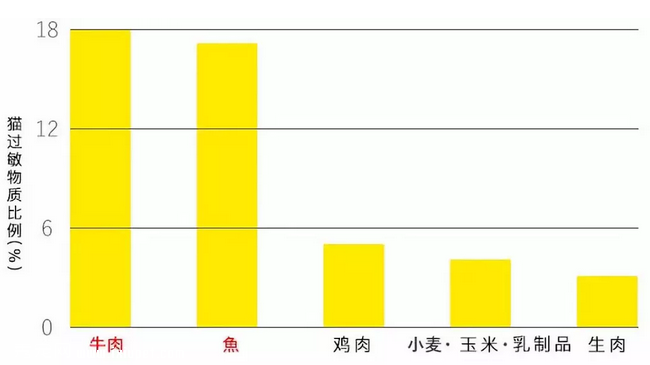 猫吃自制猫饭好不好（自制猫饭的这些误区，你中招了吗）