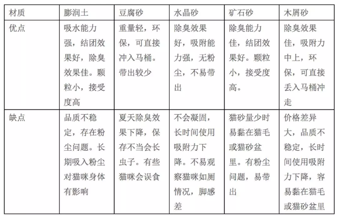 猫咪刚来到新家应该怎么对待（猫进新家，你需要知道的5件事）