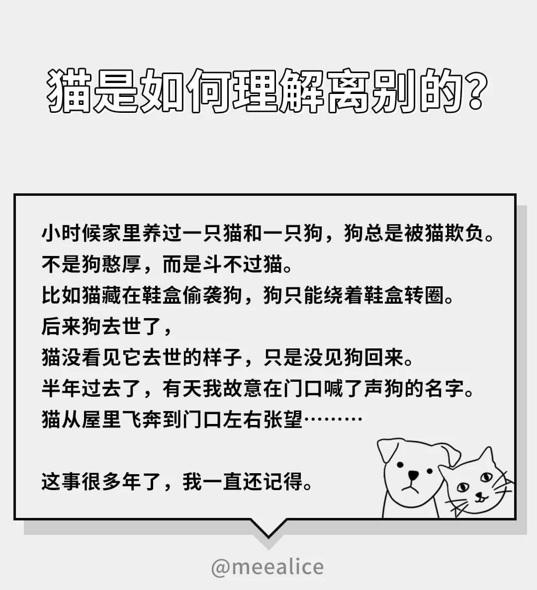 在猫的眼中（在猫咪的眼里，它们是如何理解离别的）