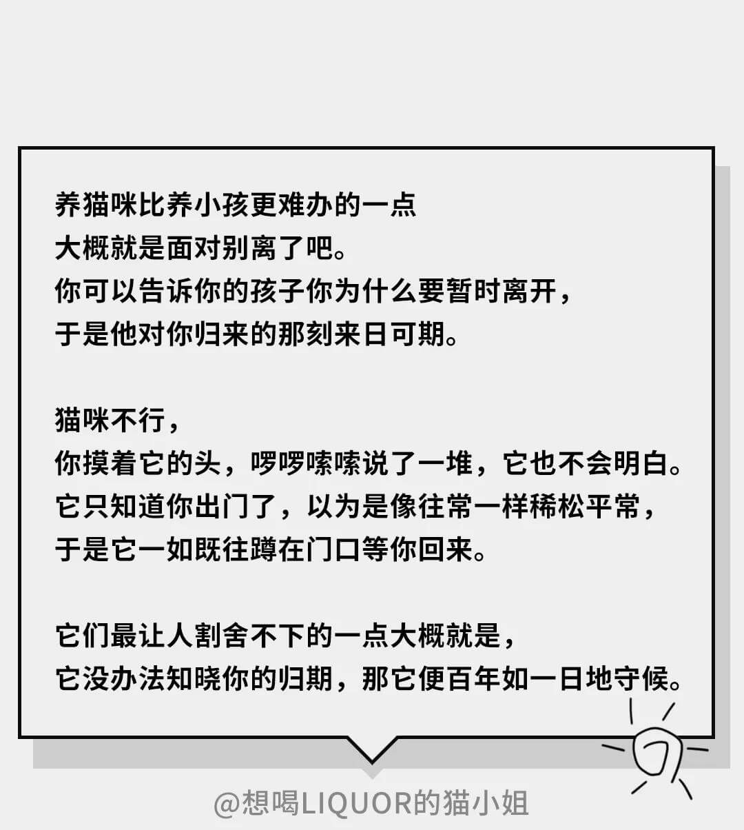 在猫的眼中（在猫咪的眼里，它们是如何理解离别的）