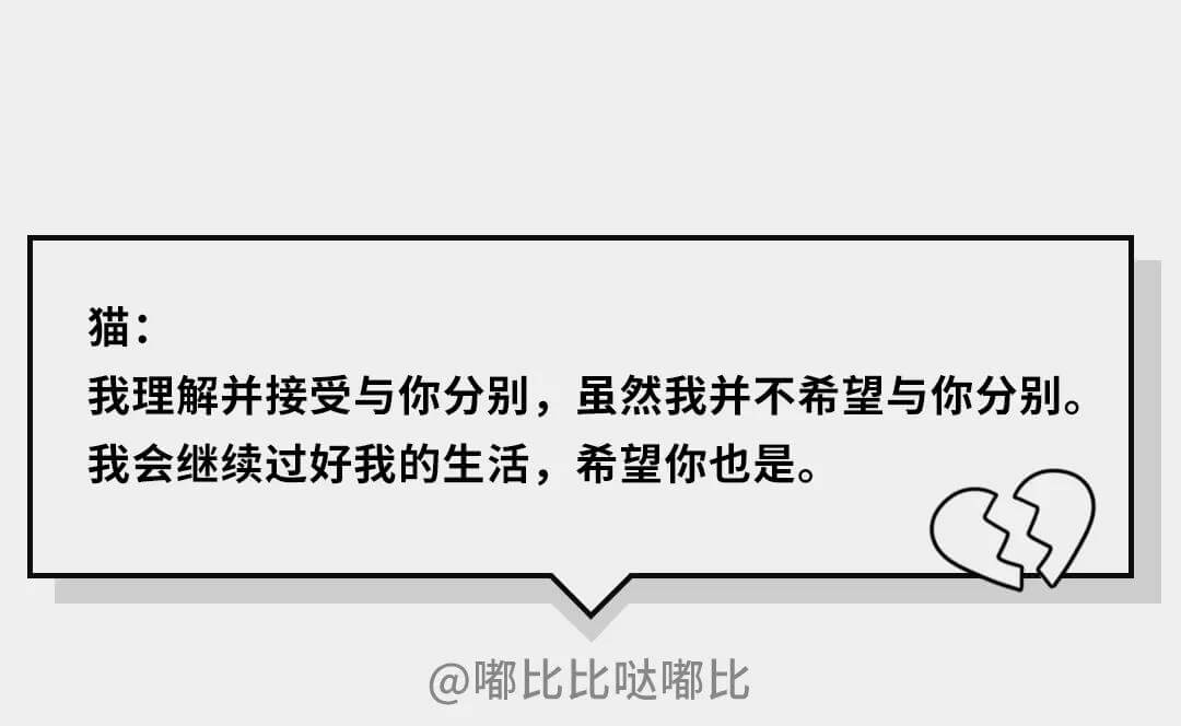 在猫的眼中（在猫咪的眼里，它们是如何理解离别的）