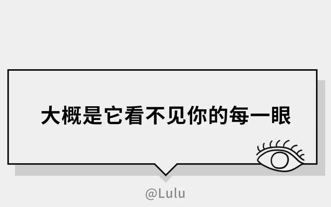 在猫的眼中（在猫咪的眼里，它们是如何理解离别的）