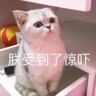 猫毛对人肺有影响吗（长期养猫的人，肺里会积猫毛究竟是真是假）