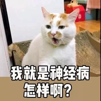 为什么两只猫会打起来（你家的猫为什么会打起来）